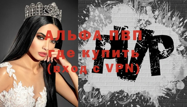 амф Инсар