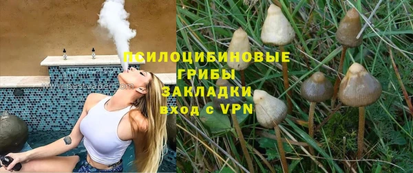 амф Инсар