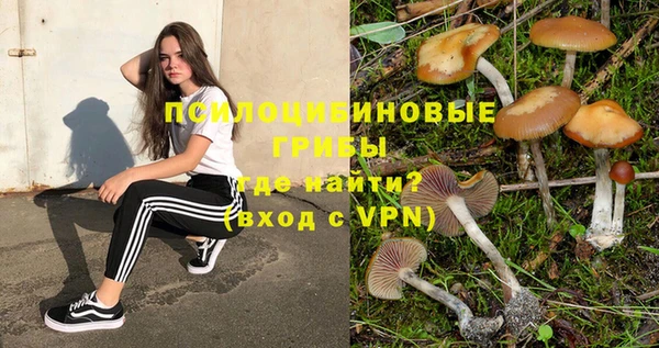 2c-b Инта